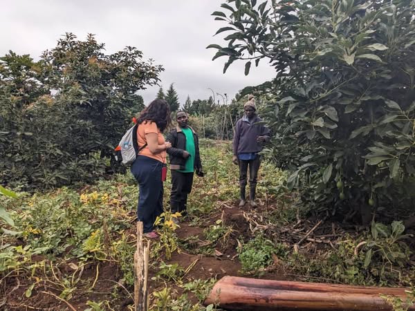 Hope in Every Seed photo