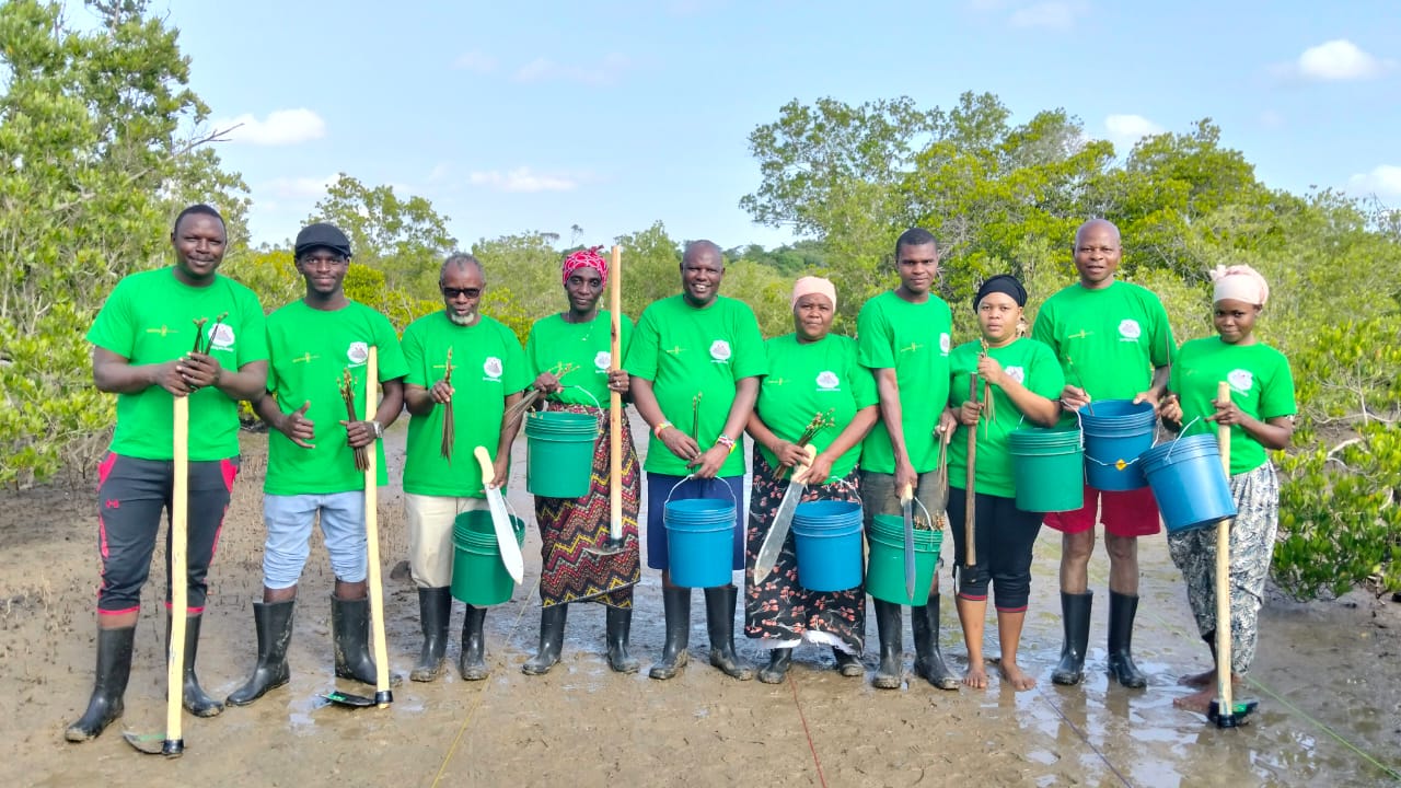 Mangrove Restoration photo